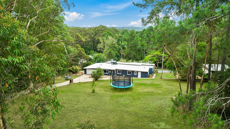 Photo - 331-333 Diddillibah Road, Diddillibah QLD 4559 - Image 3