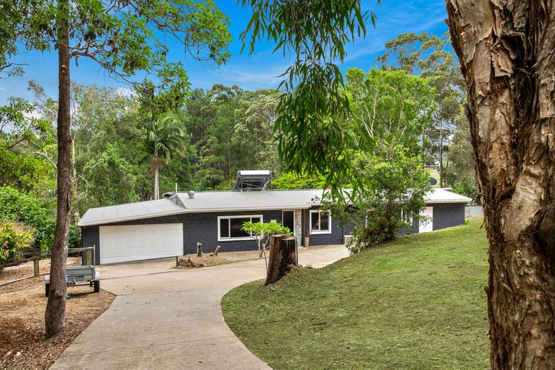 Photo - 331-333 Diddillibah Road, Diddillibah QLD 4559 - Image 6