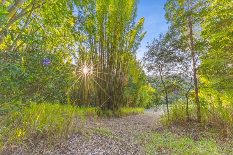 Photo - 333 Cootharaba Road, Cootharaba QLD 4565 - Image 27
