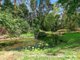 Photo - 333 Schreibers Road, Cooran QLD 4569 - Image 1