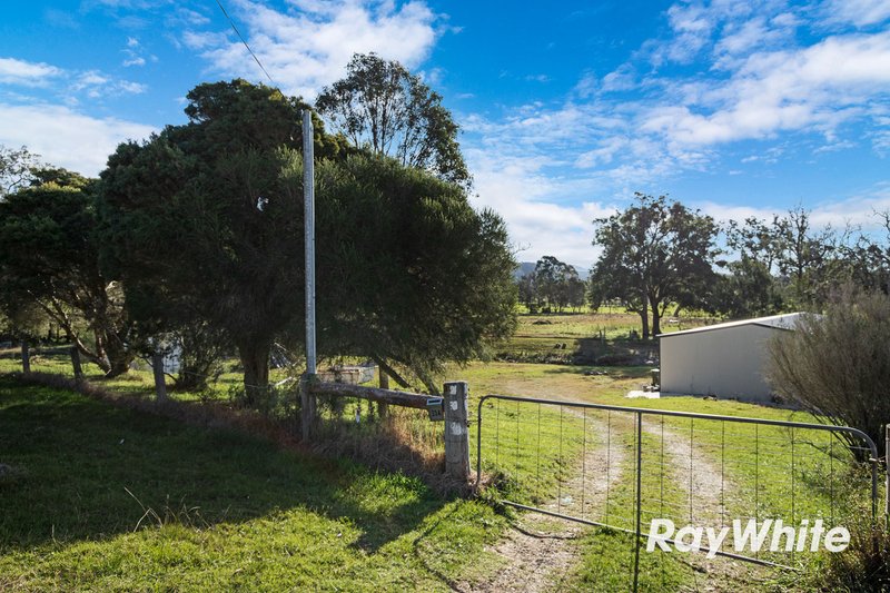 Photo - 334 Bodalla Park Drive, Bodalla NSW 2545 - Image 18