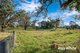 Photo - 334 Bodalla Park Drive, Bodalla NSW 2545 - Image 20