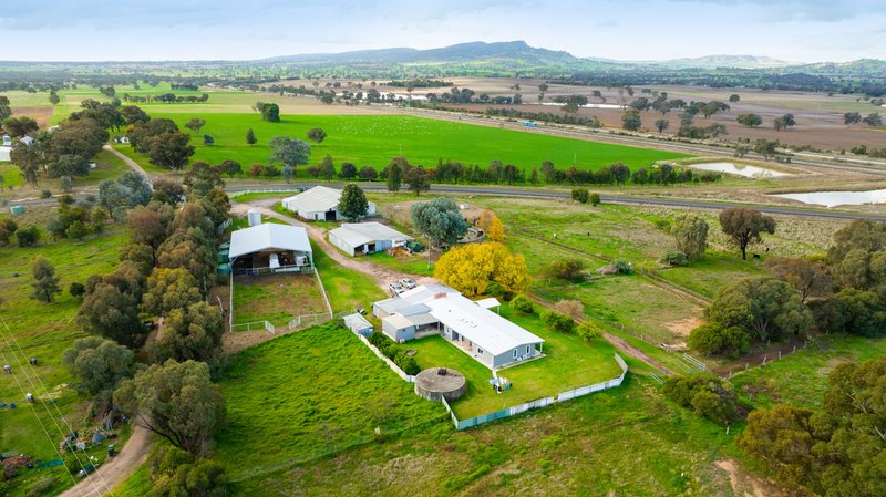 Photo - 334 Perryman Lane, Table Top NSW 2640 - Image 5