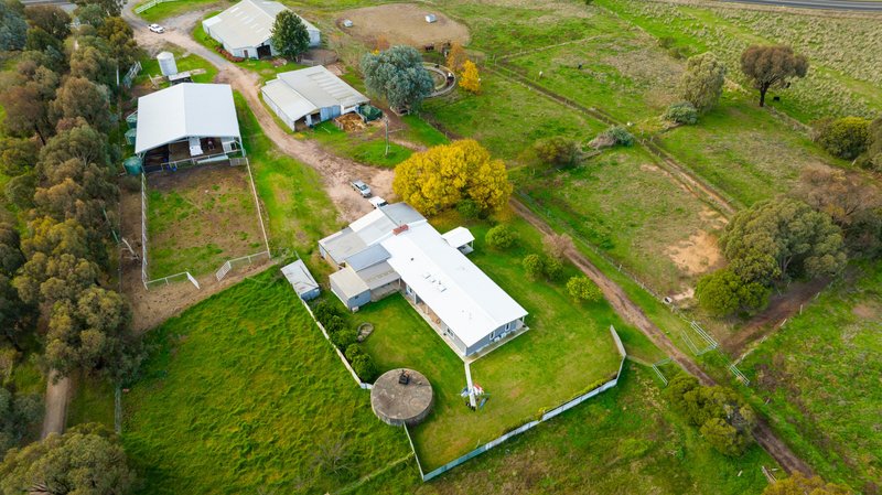 Photo - 334 Perryman Lane, Table Top NSW 2640 - Image 6