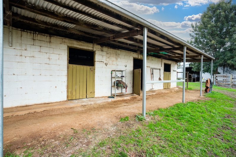 Photo - 334 Perryman Lane, Table Top NSW 2640 - Image 10