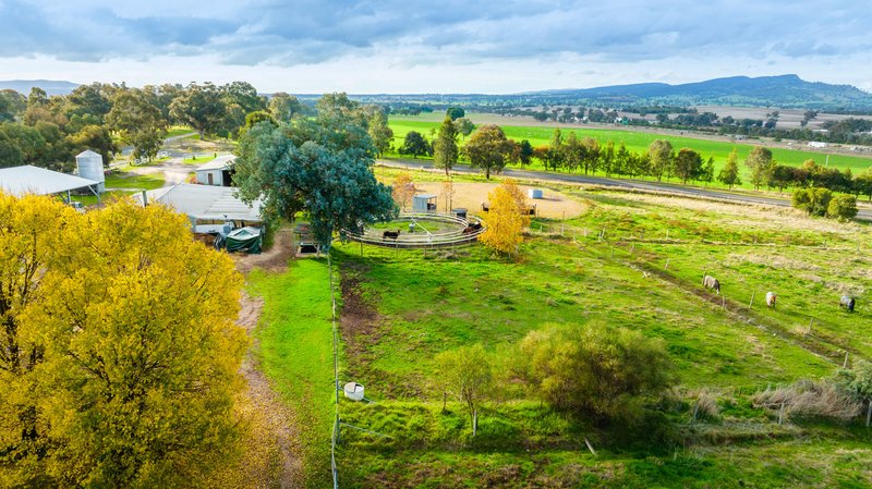 Photo - 334 Perryman Lane, Table Top NSW 2640 - Image 13