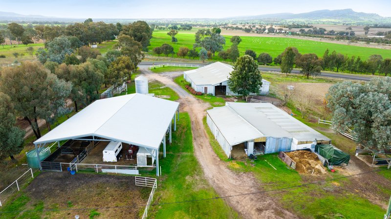 Photo - 334 Perryman Lane, Table Top NSW 2640 - Image 14