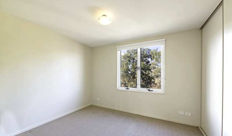 Photo - 33/48 Bluebell Street, O'Connor ACT 2602 - Image 6