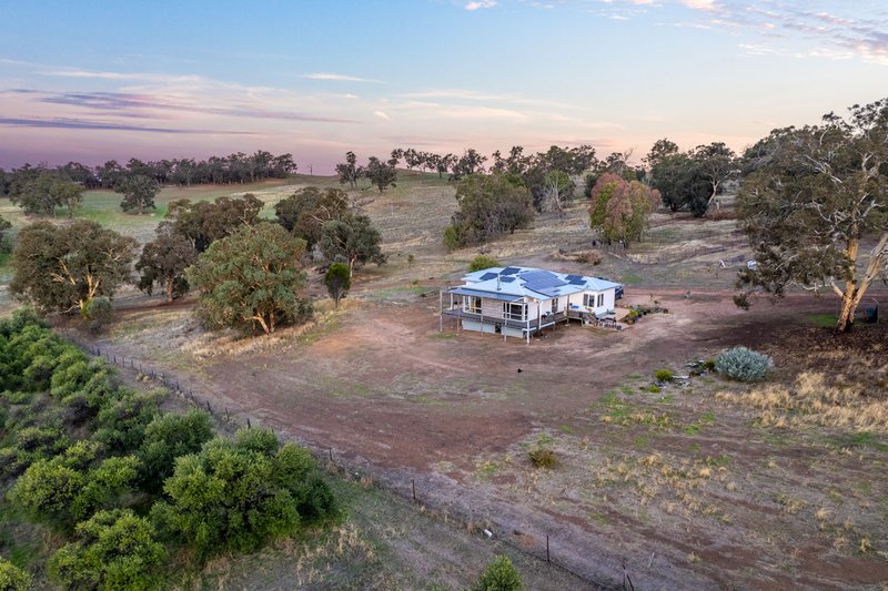 Photo - 3349 Boyup Brook-Arthur Road, Dinninup WA 6244 - Image 14