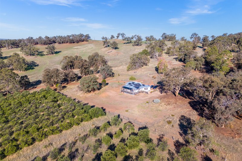 Photo - 3349 Boyup Brook-Arthur Road, Dinninup WA 6244 - Image 15