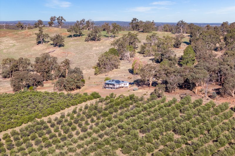 Photo - 3349 Boyup Brook-Arthur Road, Dinninup WA 6244 - Image 21