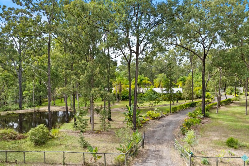 Photo - 335-341 Steele Road, Logan Village QLD 4207 - Image 2