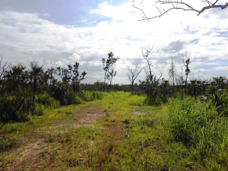 335 Darwin River Road, Darwin River NT 0841