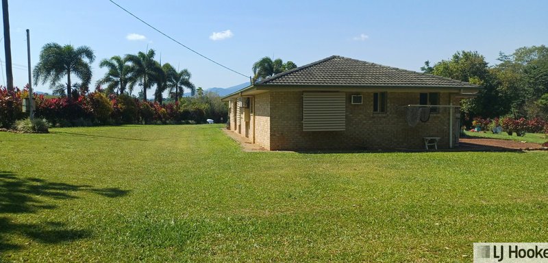 Photo - 335 Dingo Pocket Road, Tully QLD 4854 - Image 23