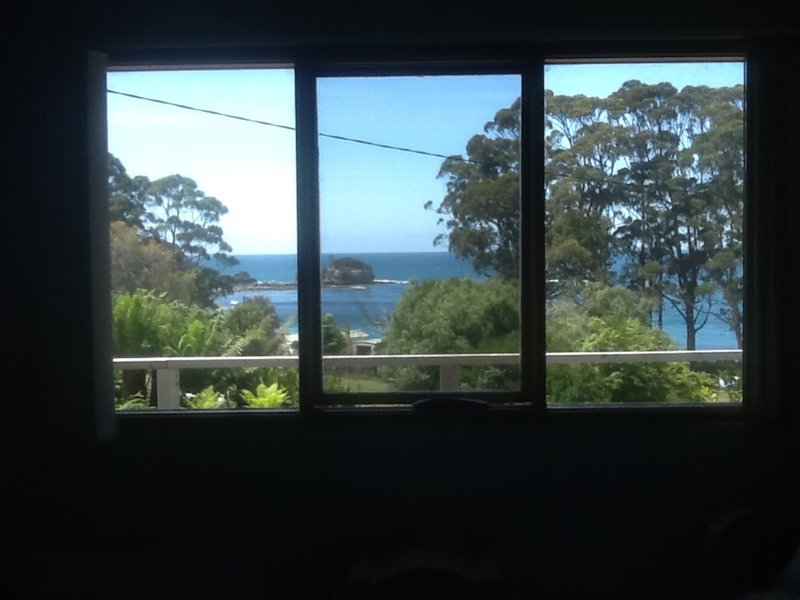 Photo - 335 Pirates Bay Drive, Eaglehawk Neck TAS 7179 - Image 11