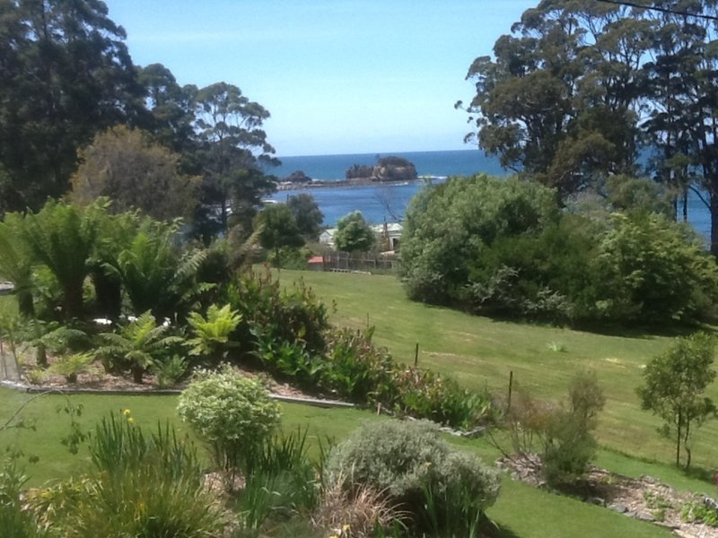 Photo - 335 Pirates Bay Drive, Eaglehawk Neck TAS 7179 - Image 24