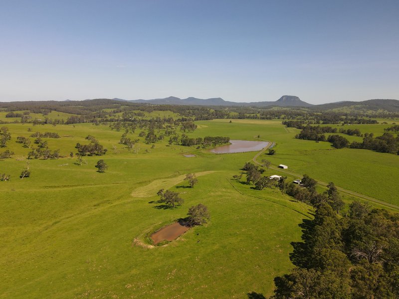 336 Grahams Creek Road, Woodenbong NSW 2476