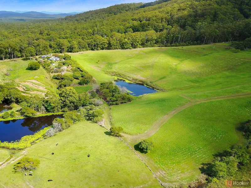 336 Mighell Road, Yarrahapinni NSW 2441