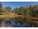 Photo - 336a Minimbah Road, Minimbah NSW 2312 - Image 12