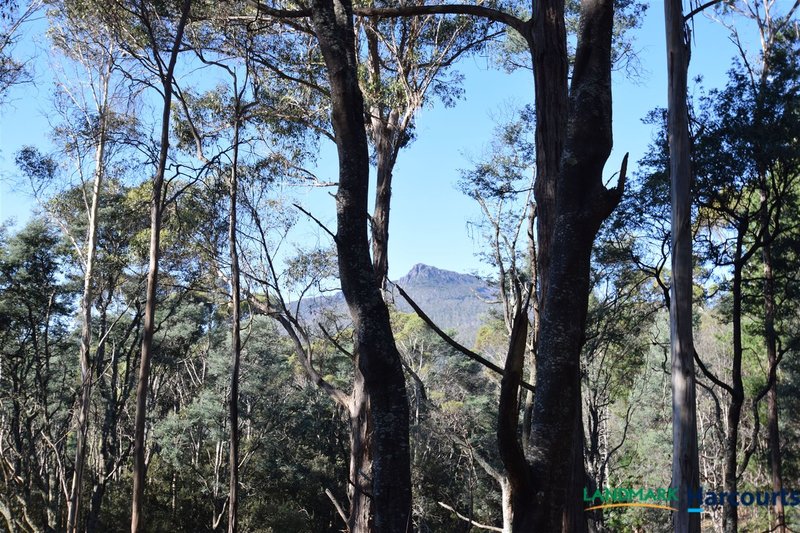 Photo - 337 East Meander Road, Meander TAS 7304 - Image 4