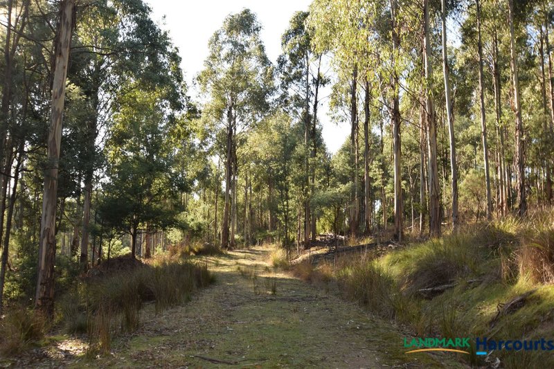 Photo - 337 East Meander Road, Meander TAS 7304 - Image 5