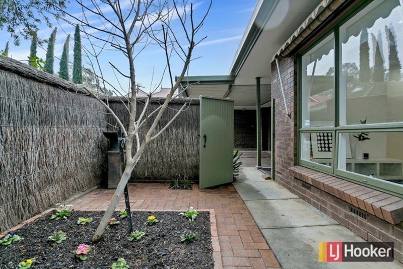 Photo - 3/37 Scott Street, Parkside SA 5063 - Image 20