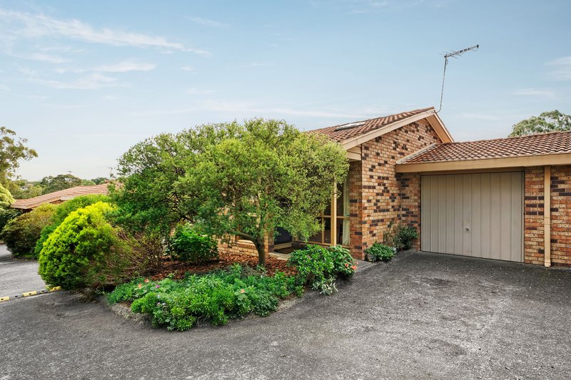 Photo - 3/37 Torbay Street, Macleod VIC 3085 - Image 1