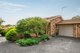 Photo - 3/37 Torbay Street, Macleod VIC 3085 - Image 1