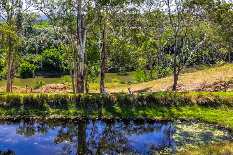 Photo - 339 Cut Hill Road, Cobbitty NSW 2570 - Image 14