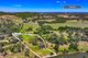 Photo - 339 Cut Hill Road, Cobbitty NSW 2570 - Image 15