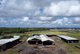 Photo - 339 Flying Fish Point Road, Eaton QLD 4860 - Image 1