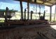 Photo - 339 Flying Fish Point Road, Eaton QLD 4860 - Image 9