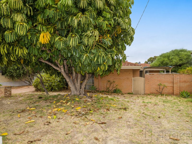 Photo - 33A Stewart Street, Scarborough WA 6019 - Image 2