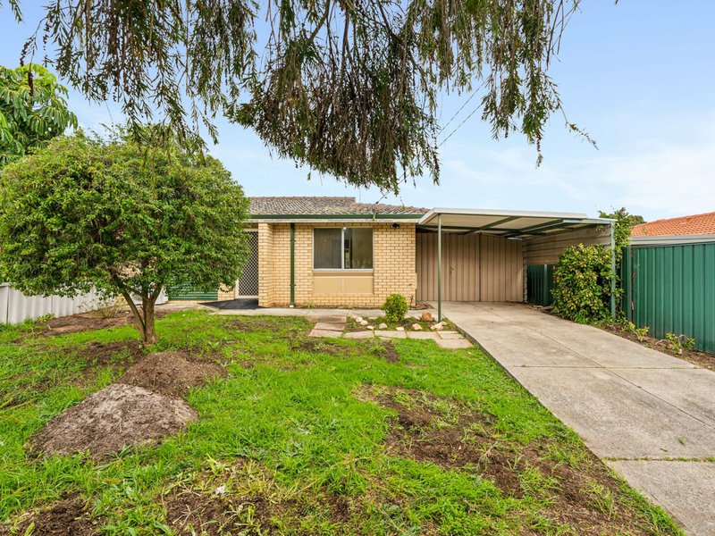 Photo - 33B Cohuna Drive, Armadale WA 6112 - Image 12