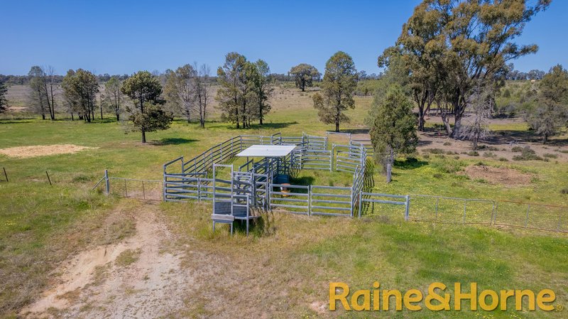 Photo - 33R Panai Avenue, Dubbo NSW 2830 - Image 18