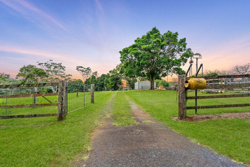 Photo - 34-72 West Road, Tamborine Mountain QLD 4272 - Image 13