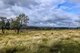 Photo - 34 Acton Vale Stud Road, Wellcamp QLD 4350 - Image 14