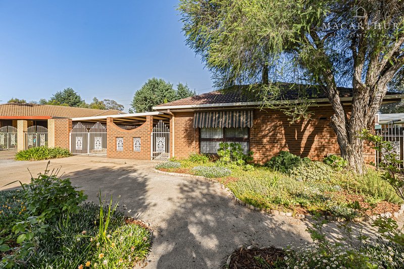 34 Adjin Street, Mount Austin NSW 2650