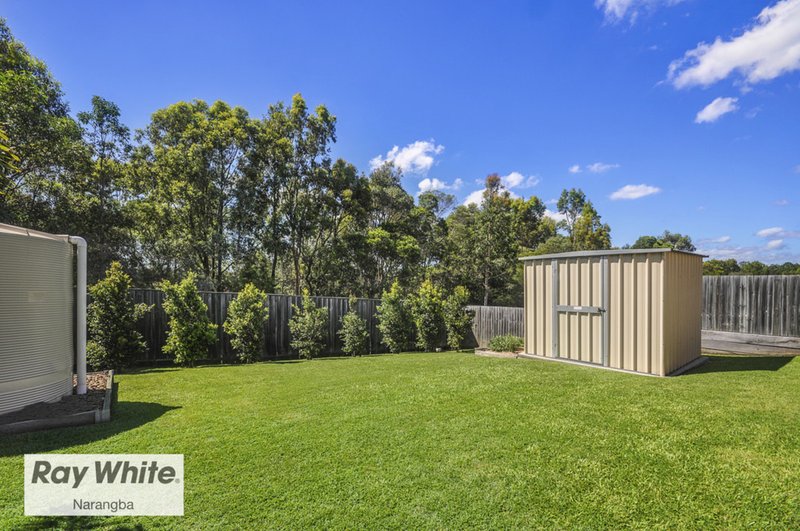 Photo - 34 Barrine Place, Narangba QLD 4504 - Image 18