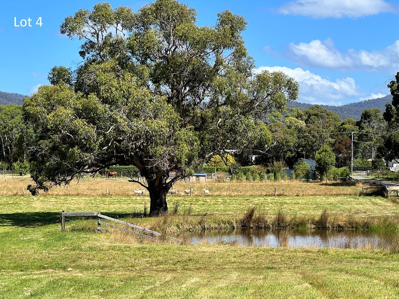 Photo - 34 Beaulieu Street, St Helens TAS 7216 - Image 3