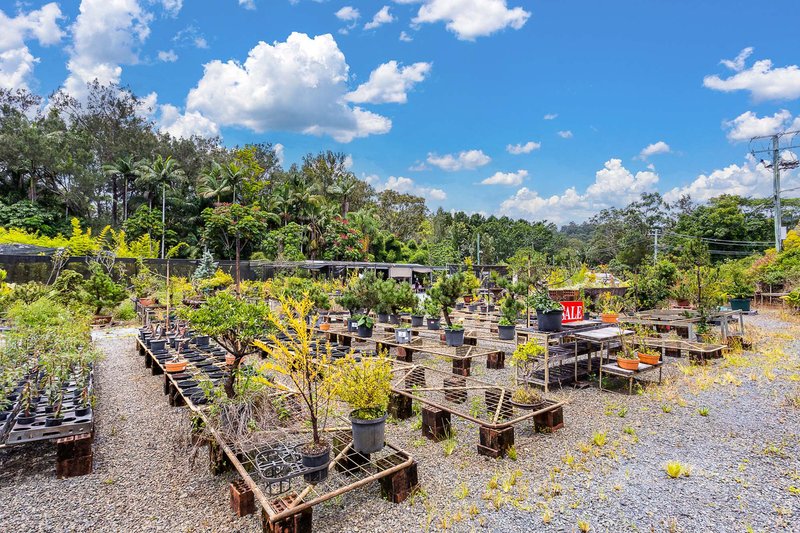 Photo - 34 Berrigans Road, Mudgeeraba QLD 4213 - Image 19