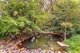 Photo - 34 Berrigans Road, Mudgeeraba QLD 4213 - Image 23