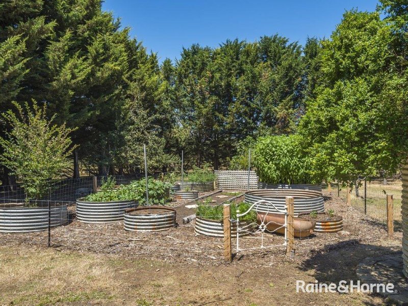 Photo - 34 Breakneck Road, Malmsbury VIC 3446 - Image 20