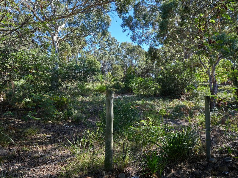 Photo - 34 Burgess Street, Bicheno TAS 7215 - Image 6