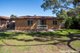 Photo - 34 Callaghan Street, Ashmont NSW 2650 - Image 1