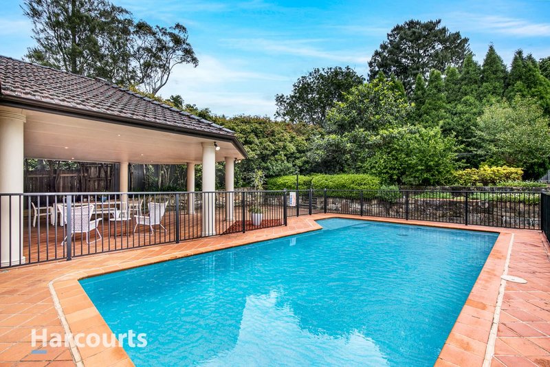 Photo - 34 Campbell Avenue, Normanhurst NSW 2076 - Image 15