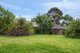 Photo - 34 Carole Avenue, Chirnside Park VIC 3116 - Image 11