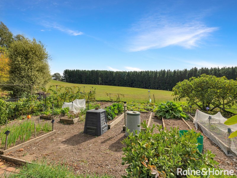 Photo - 34 Cases Lane, Mount Lambie NSW 2790 - Image 17