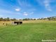 Photo - 34 Cases Lane, Mount Lambie NSW 2790 - Image 23