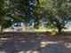 Photo - 34 Cross Street, Fairfield QLD 4103 - Image 24
